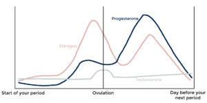 Hormonal Birth Control Hormone Health