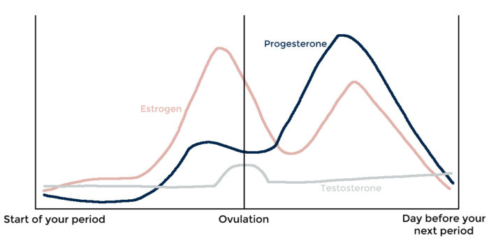 Hormonal Birth Control Hormone Health