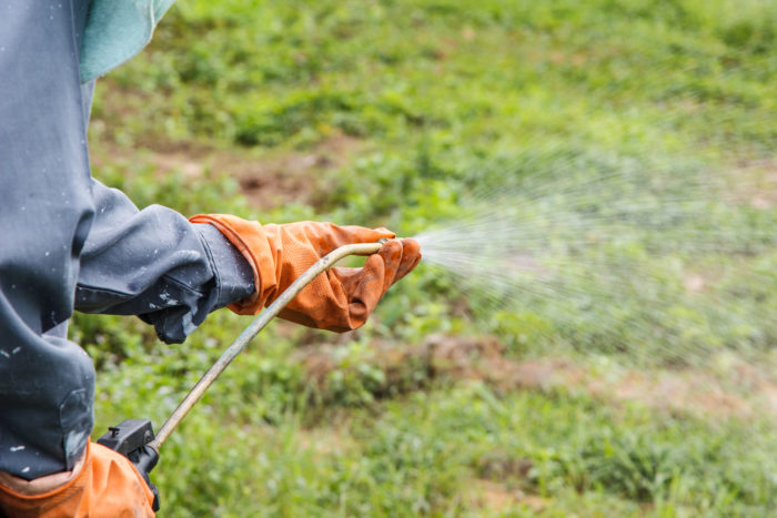 glyphosate gut health