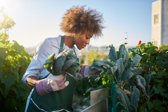 glyphosate gut health