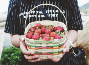 best PCOS diet