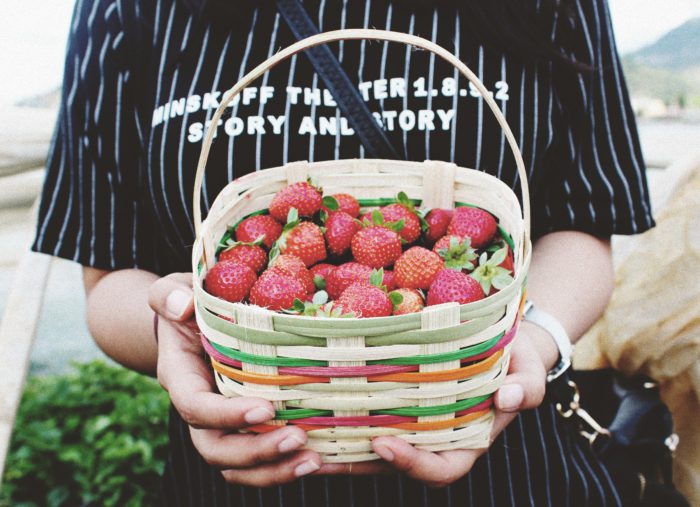 best PCOS diet