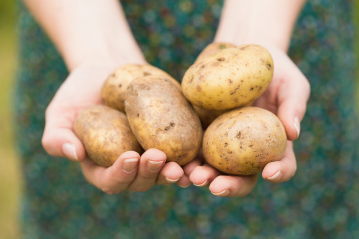guide to ketogenic diet